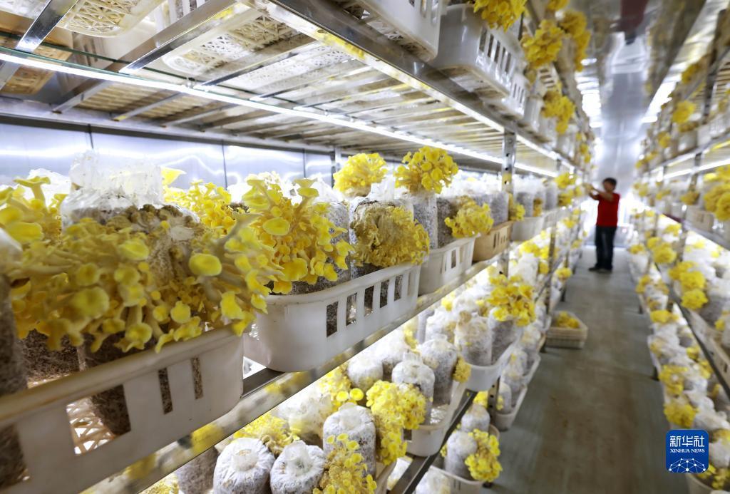 mg游戏账号登录